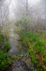 小川