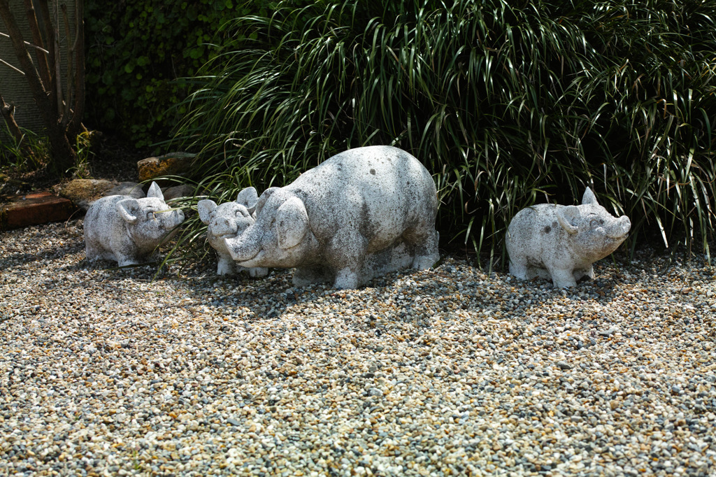 親子　ぶたさん