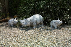 親子　ぶたさん