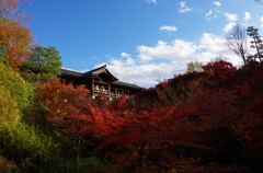 紅葉　東福寺