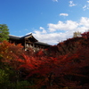 紅葉　東福寺