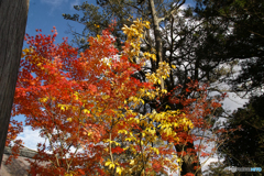 湖南三山　善水寺にて