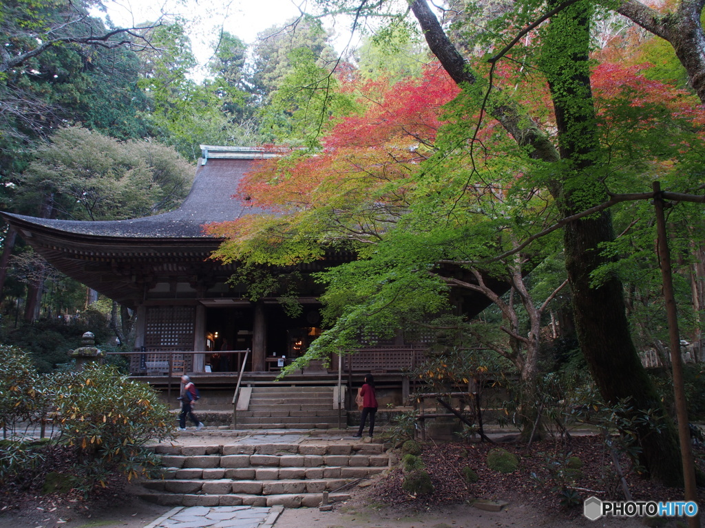 奈良室生寺にて