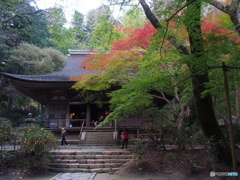奈良室生寺にて