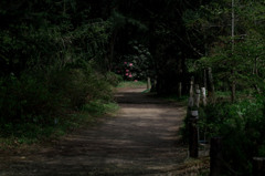 いざなう