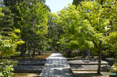 智積院にて