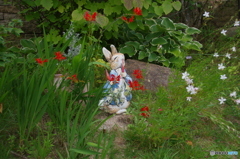 ピーターラビットの庭