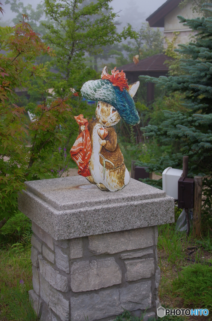 ピーターラビットの庭