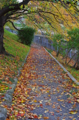 坂道
