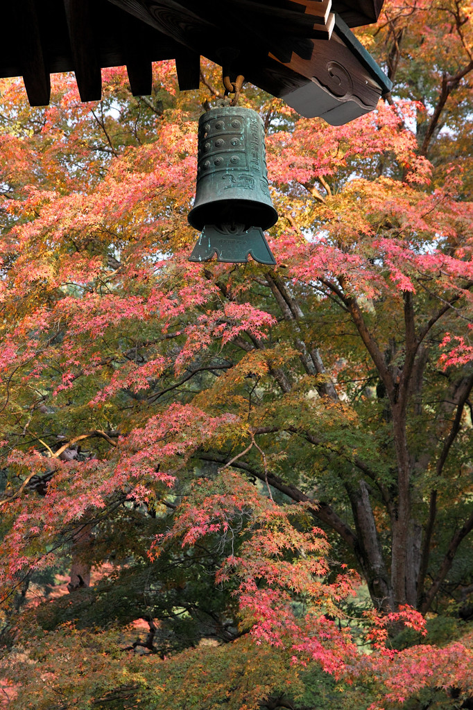 紅葉　南禅寺