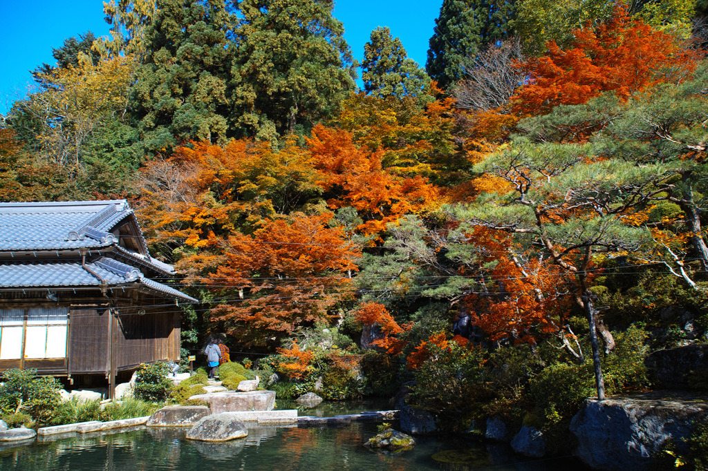 百済寺