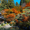 百済寺