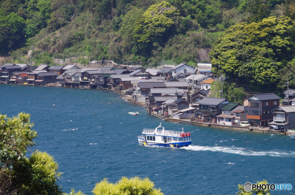 伊根湾巡航