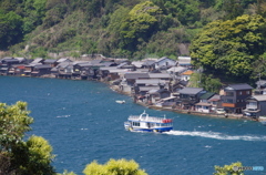 伊根湾巡航