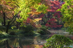 京都府立植物園で