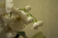 造花