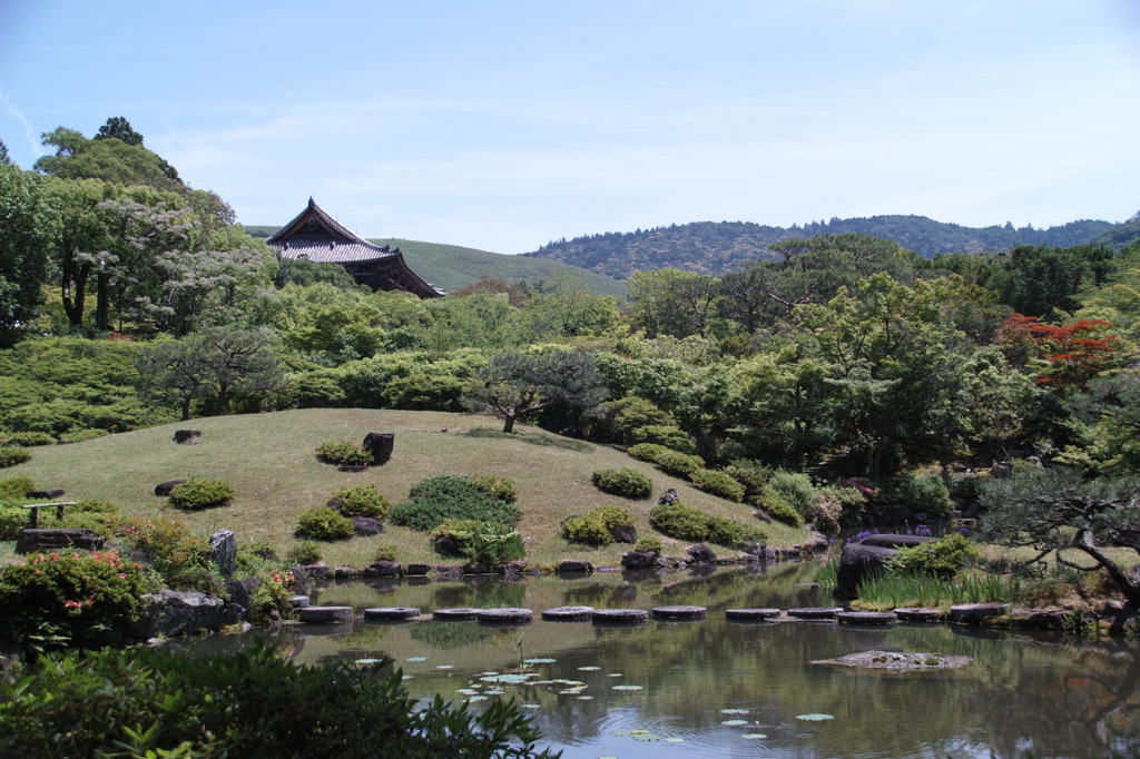 奈良依水園　東大寺大仏殿と若草山を望む