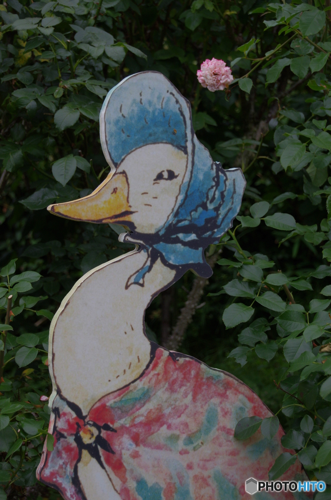 あひるのジマイマ