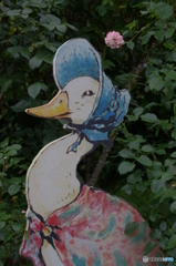 あひるのジマイマ