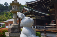狛兎