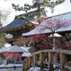 北野天満宮