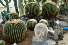 フォトスポット