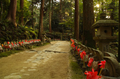 本堂へ　　千体地蔵　金剛輪寺にて