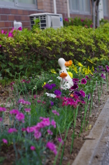 職場にお花畑ができました