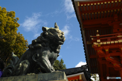 狛犬　八坂神社