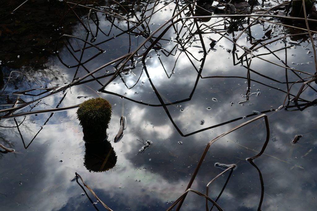 winter pond