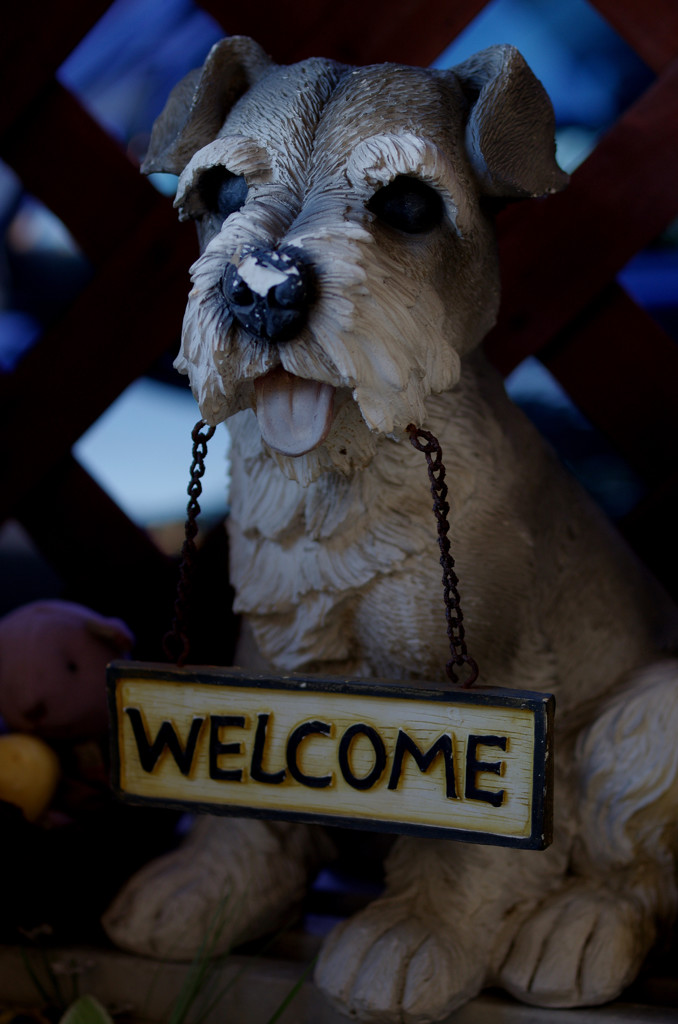 WELCOME