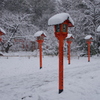 平野神社にて