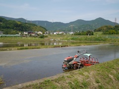 田園風景