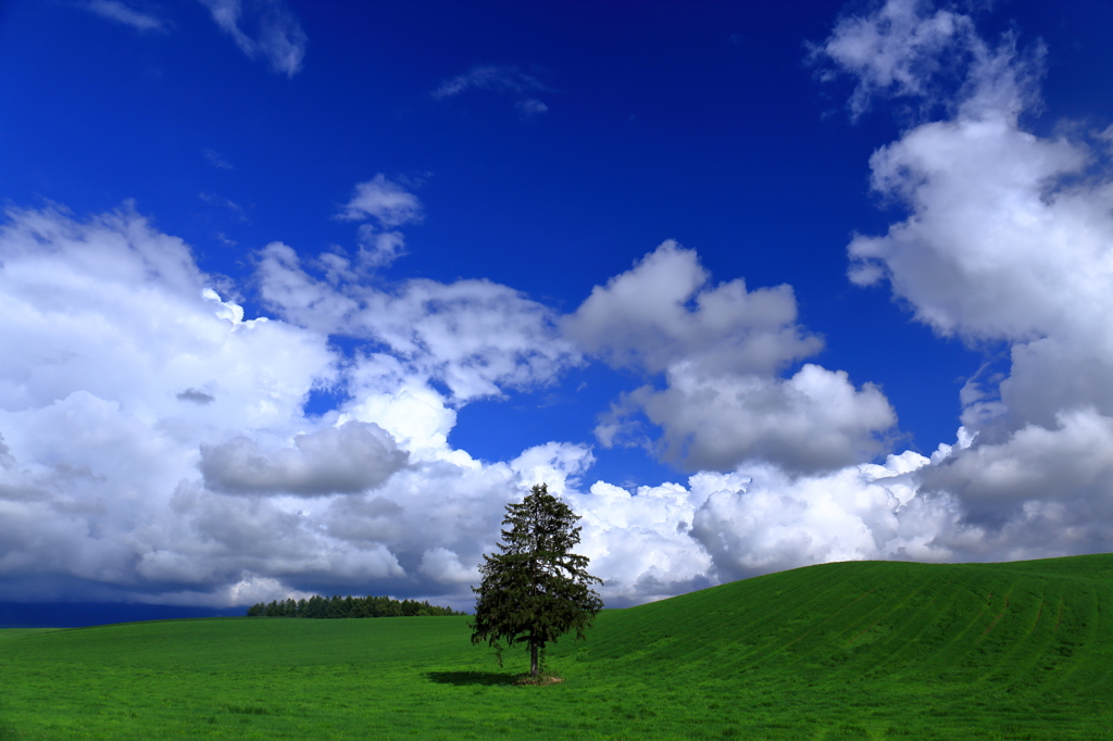 夏空