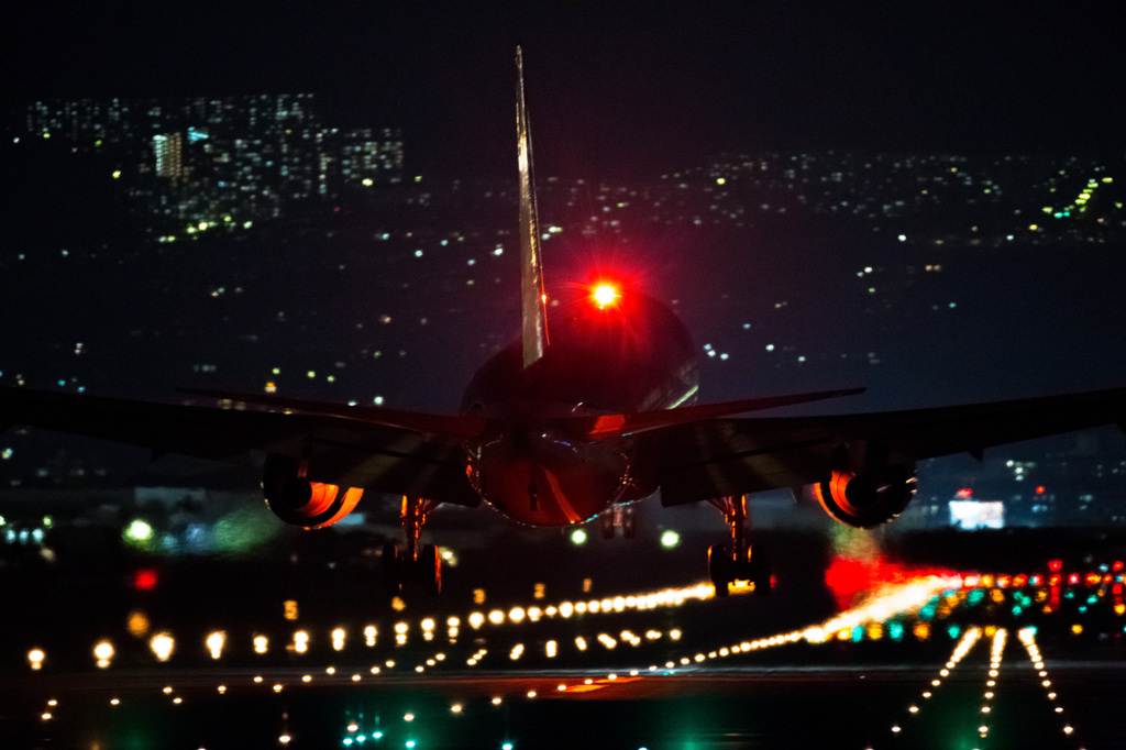 アンチコライト