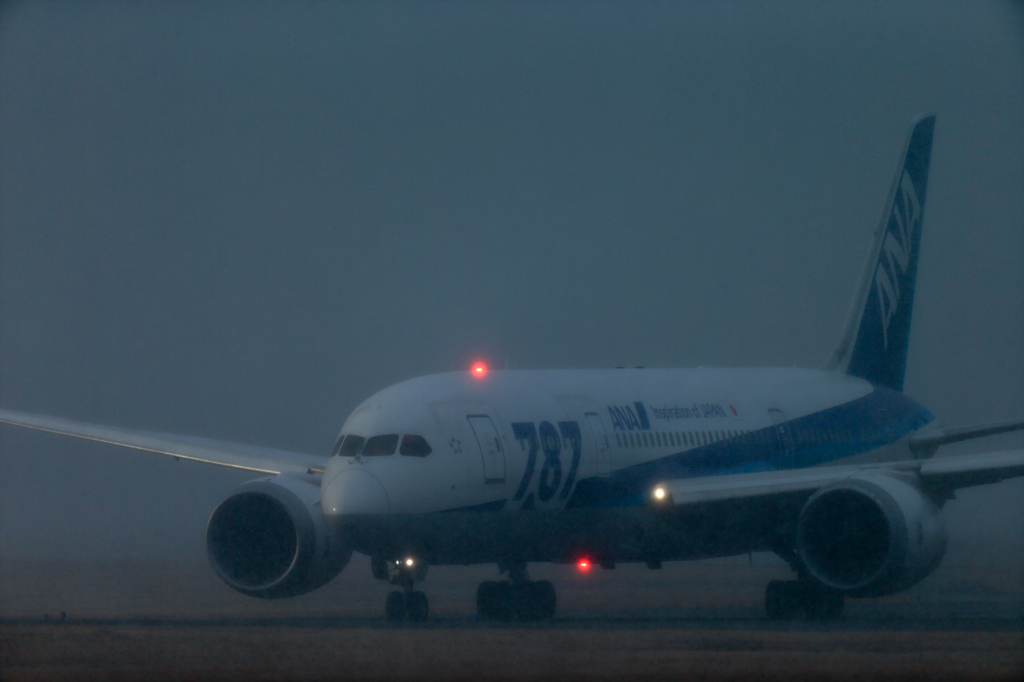 雪の伊丹空港