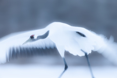 幻翔