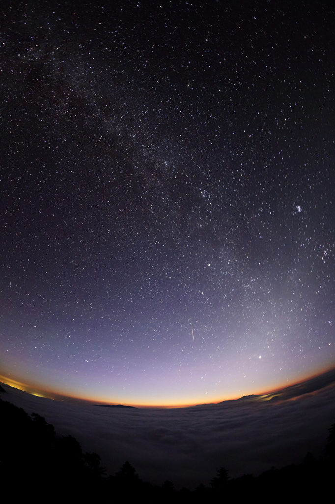 星降る夜に