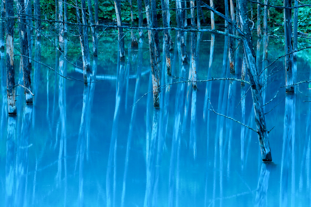 The Blue Pond