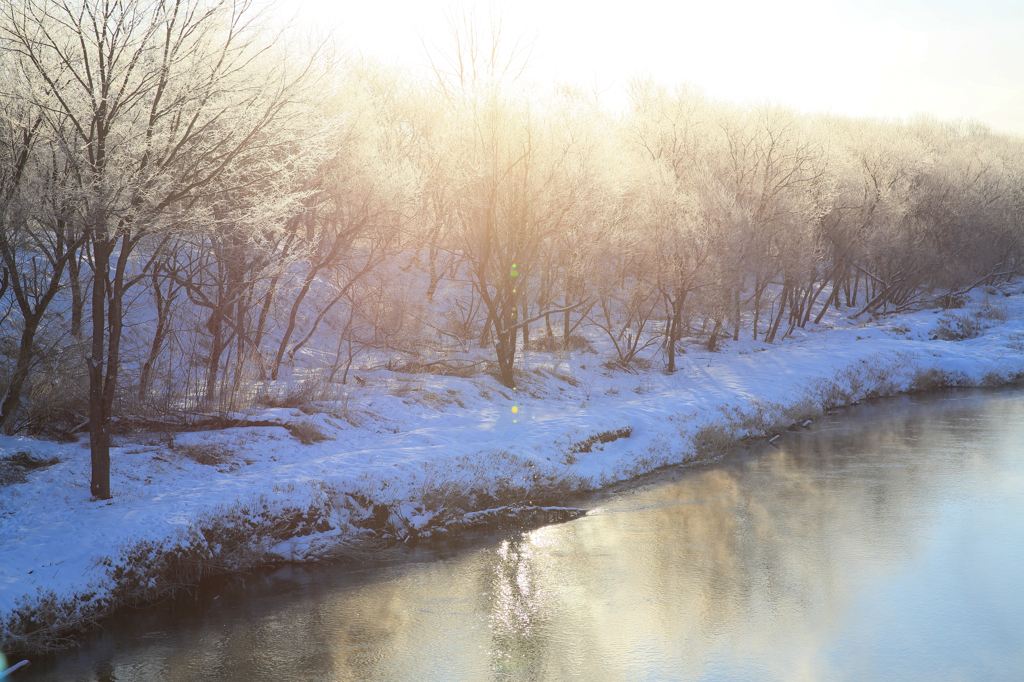 雪裡川の朝