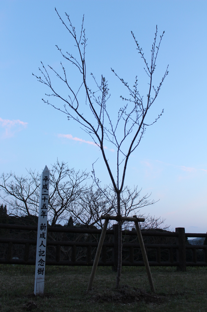 これから花を咲かせるみんな