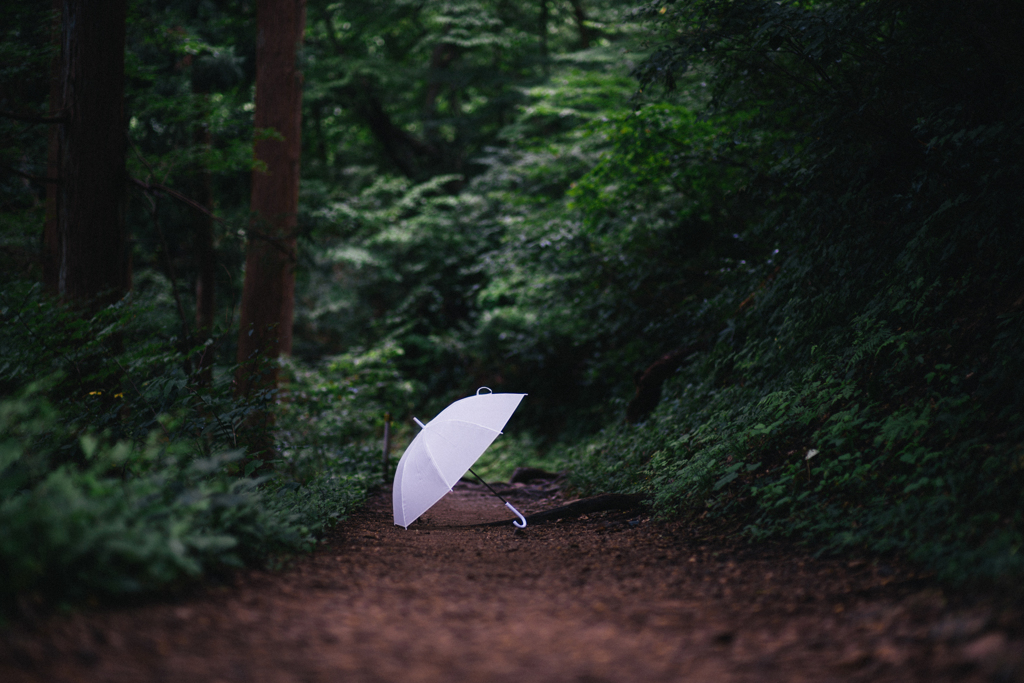 雨