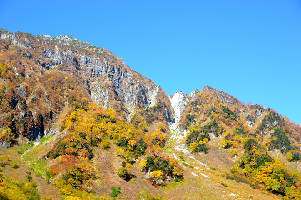 涸沢カール