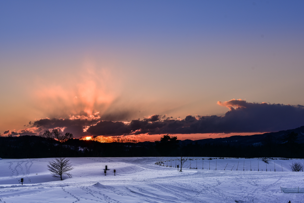 fake hokkaido