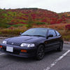RIMG2886