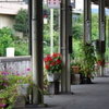 花咲く駅舎