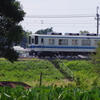 昼下がりの8000系