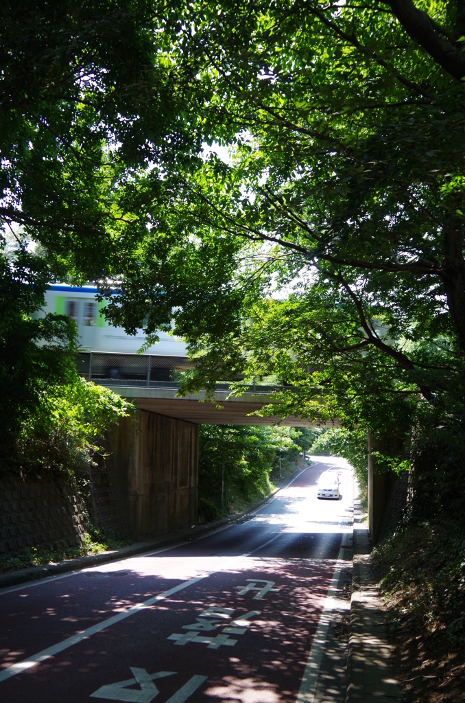 夏日の車涼