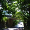 夏日の車涼