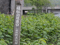20130606092440